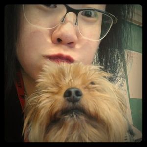 Dogs, cats, reptiles, oh my!